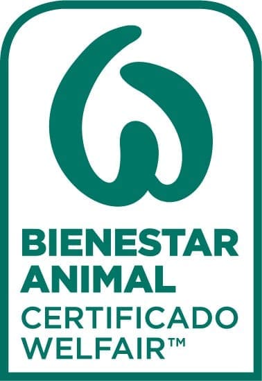 solicitud-presupuesto-welfair